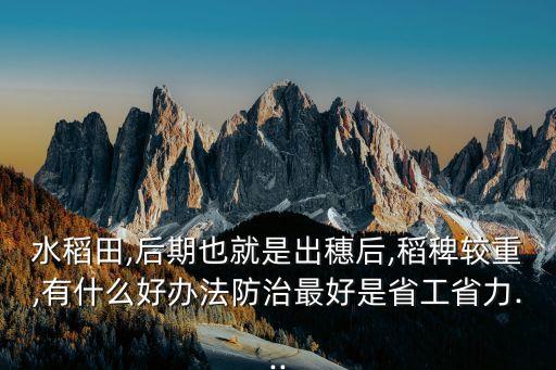 水田稻稗打什么農藥,打水田用什么機器最好