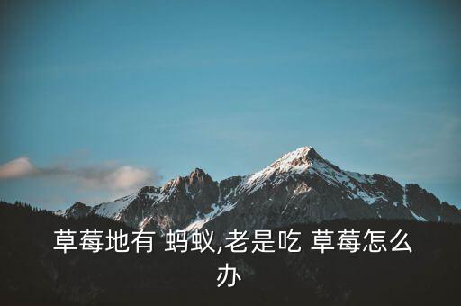 草莓上螞蟻多用什么農藥,草莓有螞蟻打什么藥