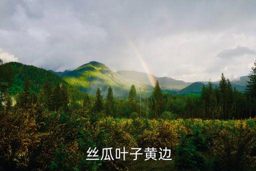 小絲瓜黃打什么農藥,打絲瓜用什么武器