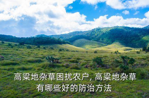 高粱地雜草困擾農戶, 高粱地雜草有哪些好的防治方法