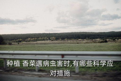 用什么農(nóng)藥治香菜重茬,抗重茬用什么農(nóng)藥