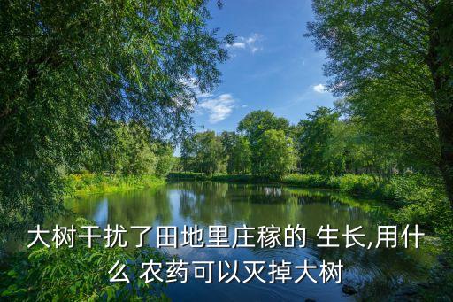 大樹干擾了田地里莊稼的 生長,用什么 農藥可以滅掉大樹