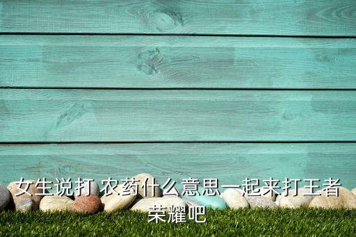 女生說打 農藥什么意思一起來打王者榮耀吧