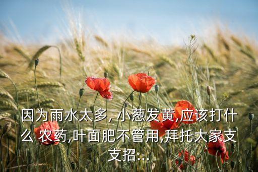 因?yàn)橛晁? 小蔥發(fā)黃,應(yīng)該打什么 農(nóng)藥,葉面肥不管用,拜托大家支支招...