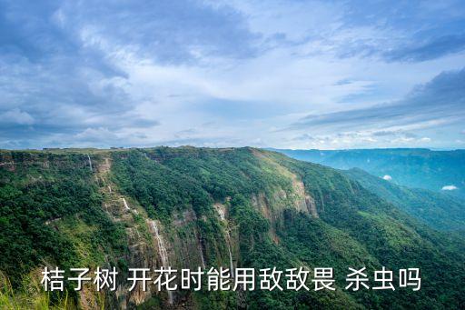 開(kāi)花前打什么農(nóng)藥殺蟲(chóng),枇杷開(kāi)花用什么農(nóng)藥