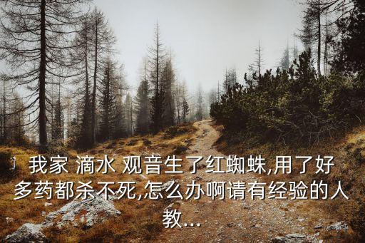 滴水觀音什么農藥可以打死,用什么藥打死滴水觀音