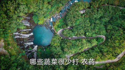 哪些蔬菜很少打 農(nóng)藥