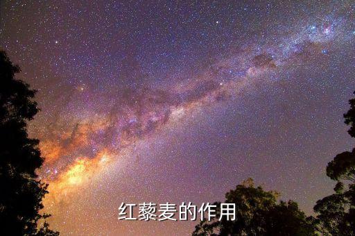 紅藜麥的作用