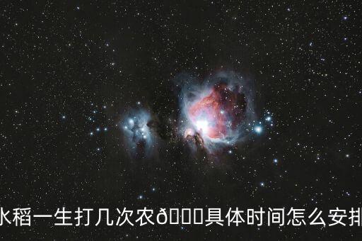 現(xiàn)在稻谷打什么農(nóng)藥,稻谷要打農(nóng)藥嗎