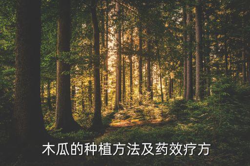 木瓜打什么農藥好用呀,木瓜搭配什么好