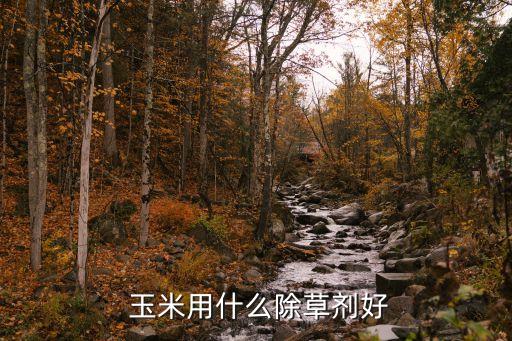 給玉米打什么農藥,玉米打什么農藥不長棒子是什么原因