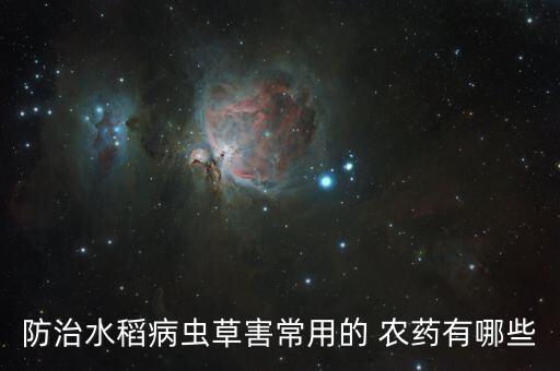 防治水稻病蟲(chóng)草害常用的 農(nóng)藥有哪些