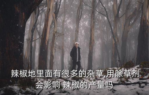辣椒打農(nóng)藥有什么用處,打辣椒農(nóng)藥什么時間打效果好