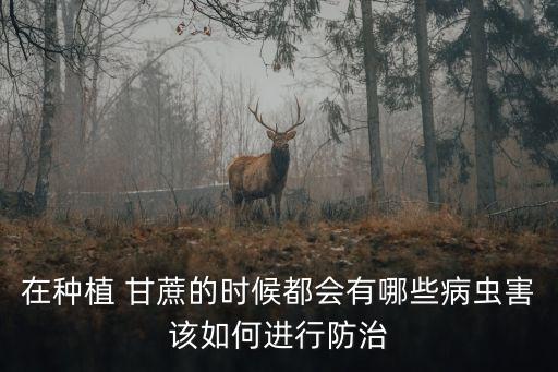 什么農藥殺甘蔗蟲最有效,甘蔗不能用什么農藥