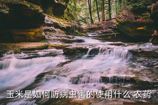 農村打谷子用什么農藥好,農村曬谷子的地方叫什么