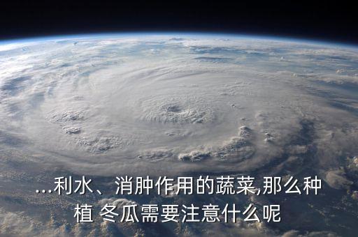 ...利水、消腫作用的蔬菜,那么種植 冬瓜需要注意什么呢
