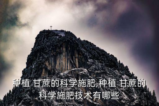 種植 甘蔗的科學施肥,種植 甘蔗的科學施肥技術有哪些