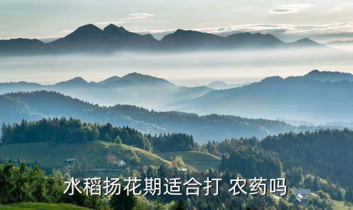 勇護農藥打什么的,蔬菜打農藥什么時間好