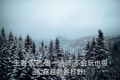 王者農(nóng)藥帶什么英雄好出