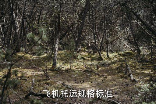 飛機(jī)托運(yùn)規(guī)格標(biāo)準(zhǔn)