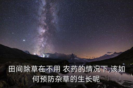 田間除草在不用 農藥的情況下,該如何預防雜草的生長呢