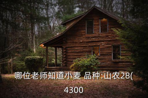 哪位老師知道小麥 品種:山農28(4300
