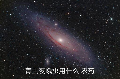 青蟲(chóng)夜蛾蟲(chóng)用什么 農(nóng)藥