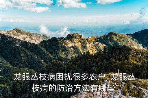 種龍眼用什么農藥好用呢,龍眼要打什么農藥