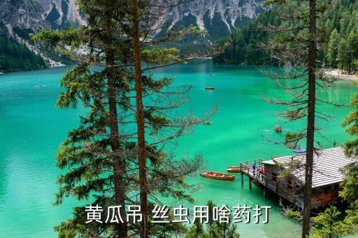 用什么農(nóng)藥殺吊絲蟲,吊絲蟲防治最新農(nóng)藥