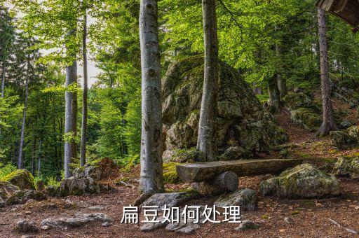 扁豆有蟲打什么農藥,自制萬能殺蟲水