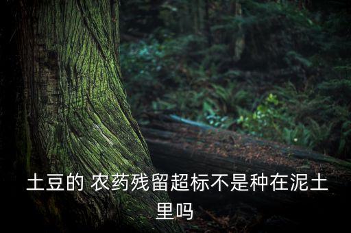 土豆的 農藥殘留超標不是種在泥土里嗎