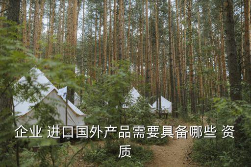 企業 進口國外產品需要具備哪些 資質