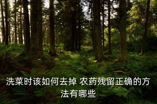 洗菜時該如何去掉 農藥殘留正確的方法有哪些