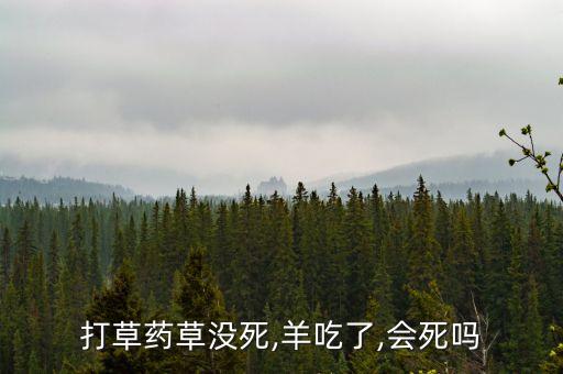 農(nóng)藥為什么不能喂羊吃了,花期為什么不能打農(nóng)藥