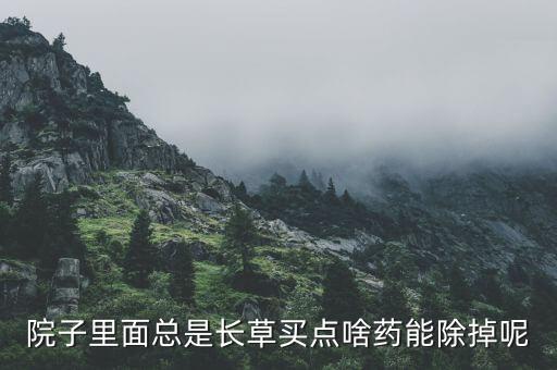 院子里面總是長草買點啥藥能除掉呢