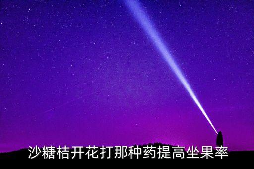  沙糖桔開花打那種藥提高坐果率
