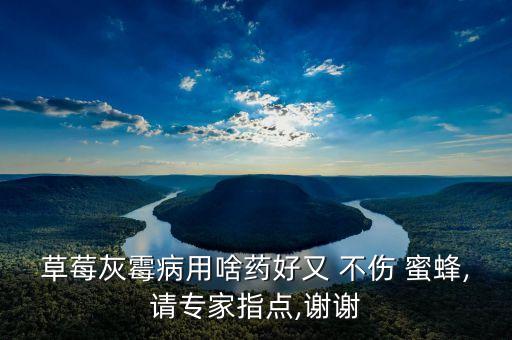 用什么農藥不傷蜜蜂的藥,蜜蜂對什么農藥比較過敏