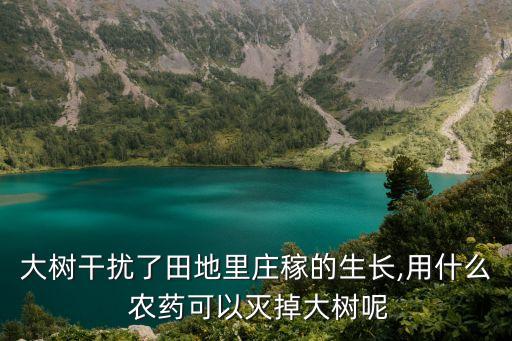 大樹干擾了田地里莊稼的生長,用什么 農藥可以滅掉大樹呢