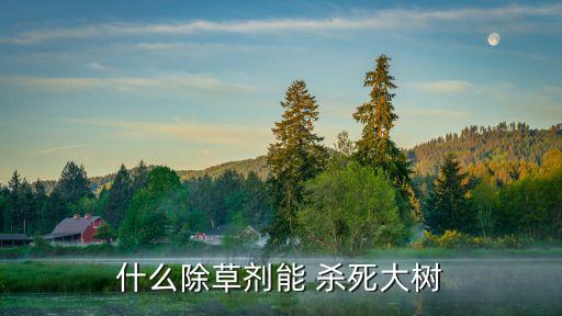 什么除草劑能 殺死大樹