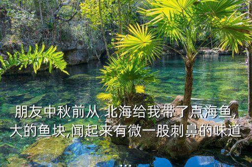 朋友中秋前從 北海給我帶了點海魚,大的魚塊,聞起來有微一股刺鼻的味道...