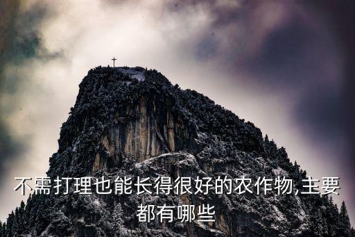 不需打理也能長得很好的農作物,主要都有哪些