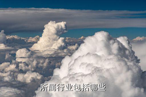 農藥屬于什么企業類別,加油站屬于什么企業類別