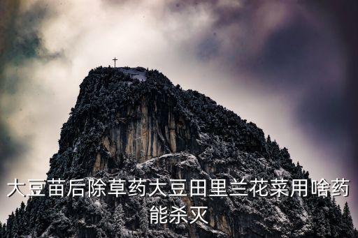 黃豆打什么農(nóng)藥好,黃豆害蟲用什么農(nóng)藥