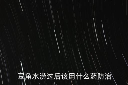  豆角水澇過后該用什么藥防治