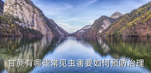  甘蔗有哪些常見蟲害要如何預(yù)防治理