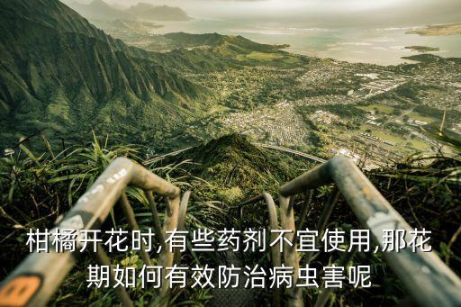 花蕾不長用什么農藥,花蕾增多用什么農藥