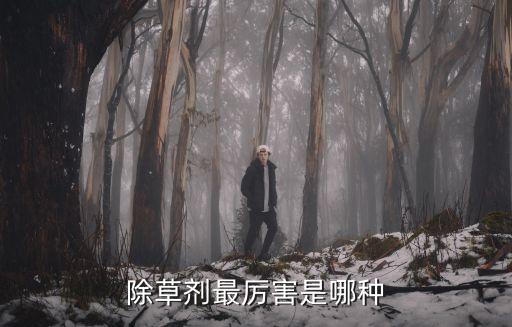 筆管草什么農藥殺滅菊酯