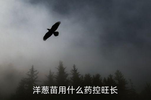 洋蔥苗用什么藥控旺長