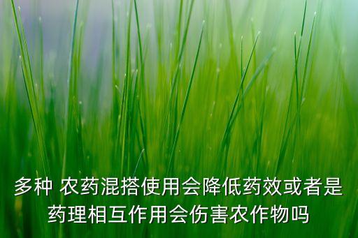 農藥和什么相克不能吃,蝦與什么相克不能吃