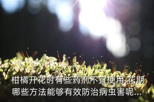 柑橘害蟲最怕什么農藥水,柑橘樹最怕什么農藥